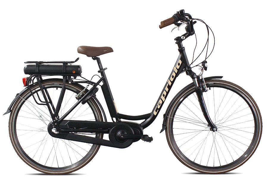 Diana e-bike